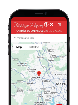 Ativo celular