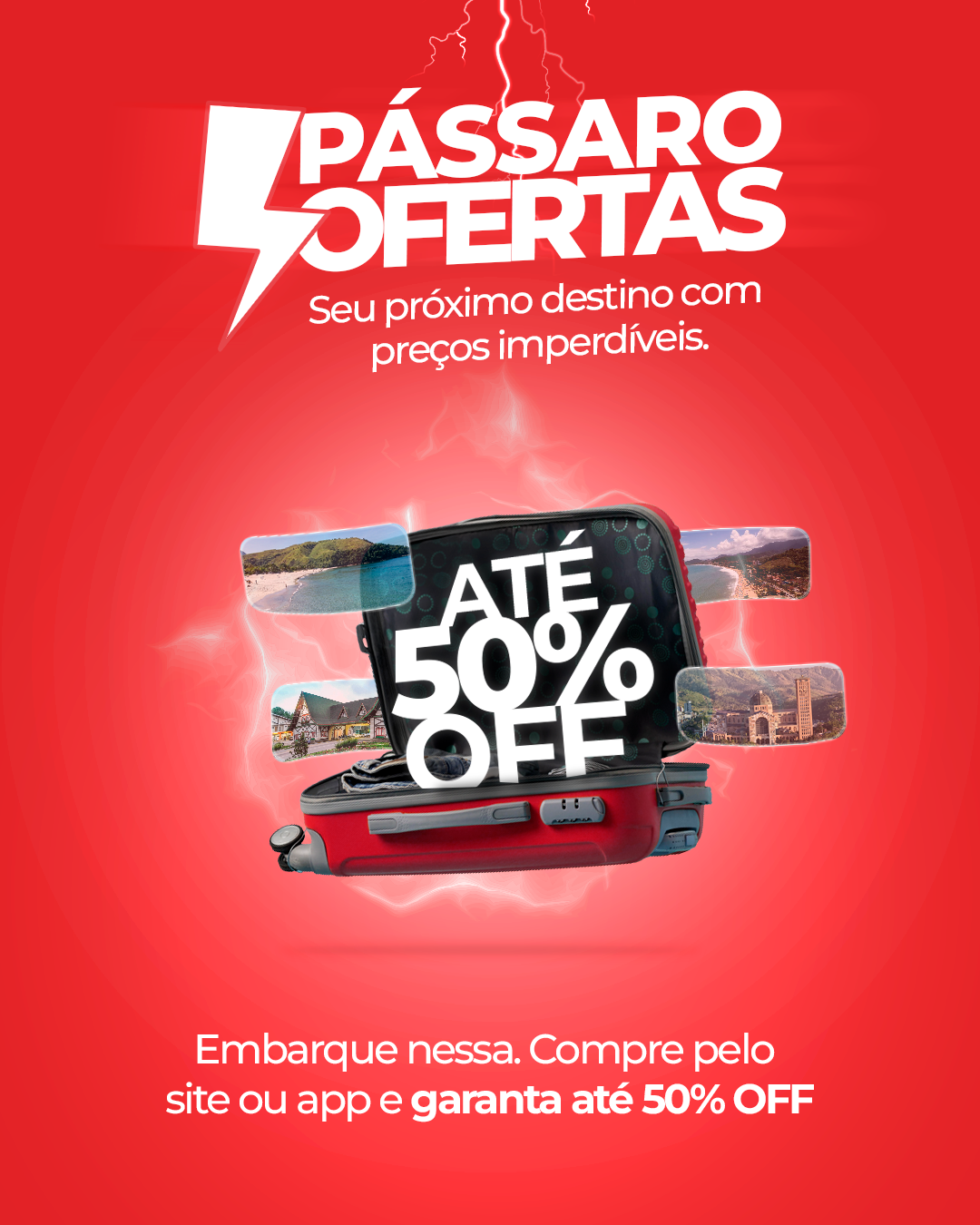 Oferta Pássaro Marron com 50% de desconto