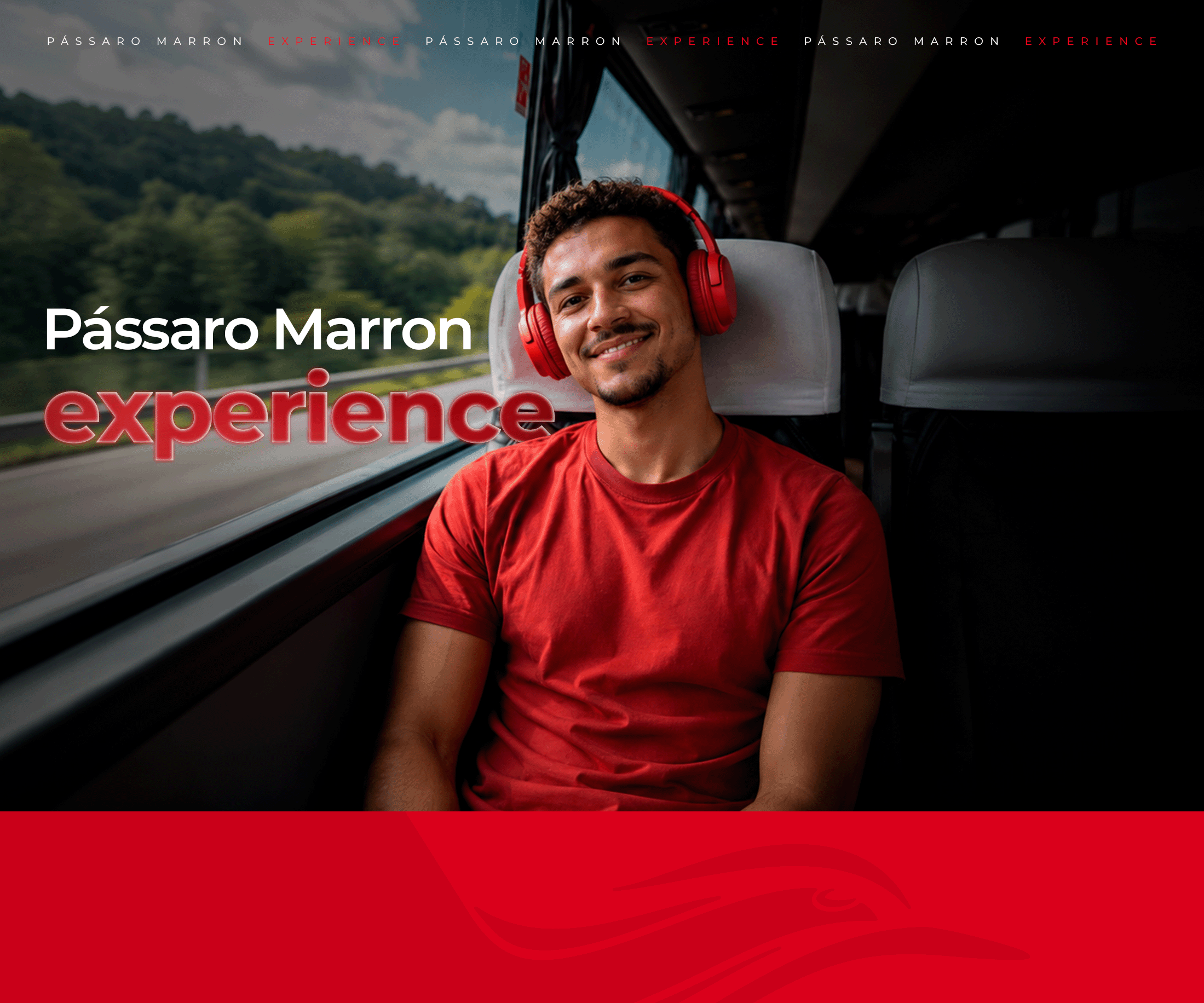 Pássaro Experience